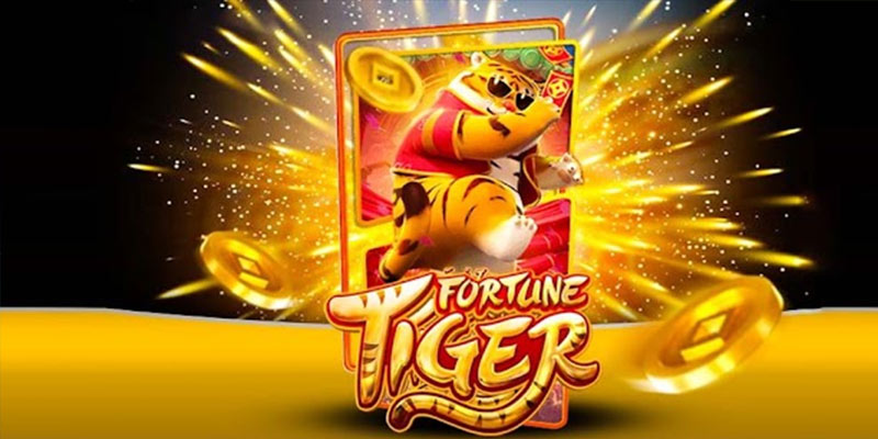 Quem é o Fortune Tiger 5555bet.Com